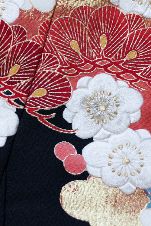 花嫁 正絹 色打掛レンタル 010050 黒 縮緬 紅葉 牡丹